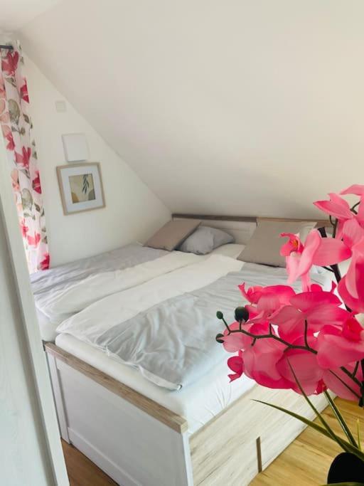 Apartment Scholle Steinbeck Recke Kültér fotó